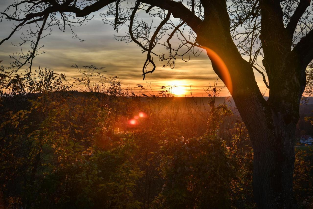 Landgasthof Falken Huttlingen Bagian luar foto